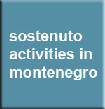 baner-sostenito2
