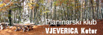 vjeverica1