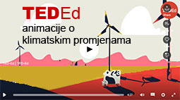 ted ed