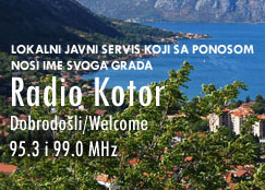 radiokotor