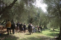 Skola suvozida Ulcinj 2
