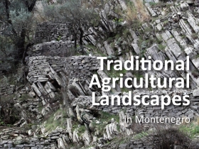 Traditional agricultural landscapes