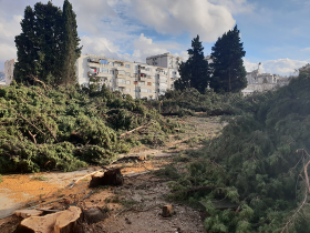 The park was destroyed in the early morning of January 17 2018. Photo: Srdan Kosović