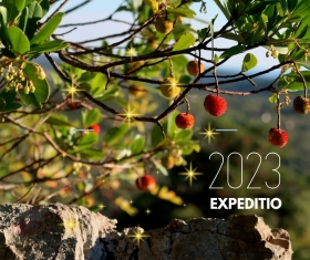 Expeditio 2023