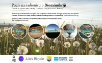 Radionica biomimikrija web