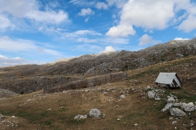 piva