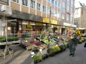 Centralno gradsko šetališteR