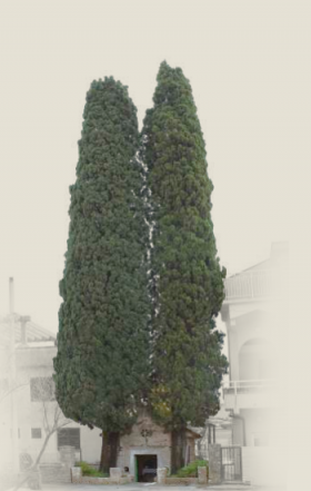 sv anton