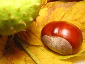 Fotolia_4242255_S